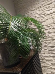 佐之吉ブログBBQおすすめ「やきまる」