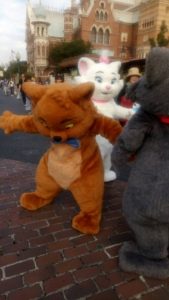 東京ディズニーランド・ディズニーシーチケット