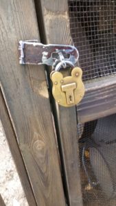 東京ディズニーランド・ディズニーシーチケット