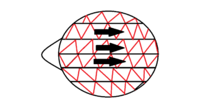 育毛と発毛より大事、抜け毛予防編!抜け毛予防シャンプーを学んでハゲ対策!アラサー男子の薄毛対策。