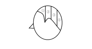 育毛と発毛より大事、抜け毛予防編!抜け毛予防シャンプーを学んでハゲ対策!アラサー男子の薄毛対策。