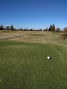 アラサー男子の休日ゴルフ。2017年妻沼ゴルフ場にて。佐之吉のゴルフのスコア必見!