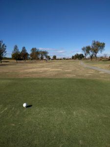 アラサー男子の休日ゴルフ。2017年妻沼ゴルフ場にて。佐之吉のゴルフのスコア必見!