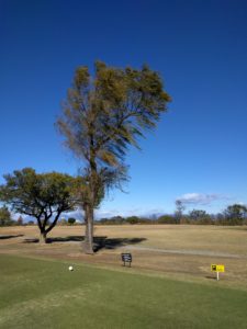 アラサー男子の休日ゴルフ。2017年妻沼ゴルフ場にて。佐之吉のゴルフのスコア必見!