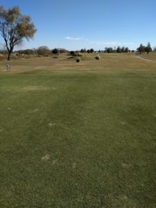 アラサー男子の休日ゴルフ。2017年妻沼ゴルフ場にて。佐之吉のゴルフのスコア必見!