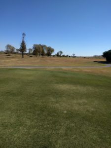 アラサー男子の休日ゴルフ。2017年妻沼ゴルフ場にて。佐之吉のゴルフのスコア必見!