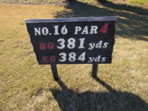 アラサー男子の休日ゴルフ。2017年妻沼ゴルフ場にて。佐之吉のゴルフのスコア必見!