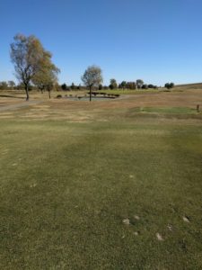 アラサー男子の休日ゴルフ。2017年妻沼ゴルフ場にて。佐之吉のゴルフのスコア必見!