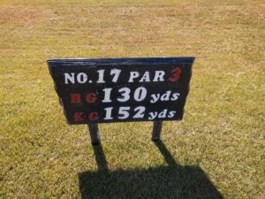 アラサー男子の休日ゴルフ。2017年妻沼ゴルフ場にて。佐之吉のゴルフのスコア必見!