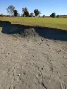 アラサー男子の休日ゴルフ。2017年妻沼ゴルフ場にて。佐之吉のゴルフのスコア必見!