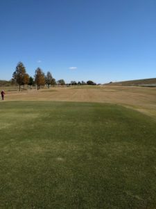 アラサー男子の休日ゴルフ。2017年妻沼ゴルフ場にて。佐之吉のゴルフのスコア必見!