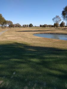 アラサー男子の休日ゴルフ。2017年妻沼ゴルフ場にて。佐之吉のゴルフのスコア必見!