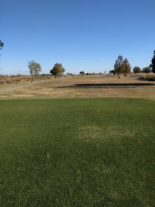 アラサー男子の休日ゴルフ。2017年妻沼ゴルフ場にて。佐之吉のゴルフのスコア必見!