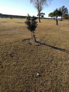 アラサー男子の休日ゴルフ。2017年妻沼ゴルフ場にて。佐之吉のゴルフのスコア必見!