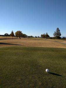 アラサー男子の休日ゴルフ。2017年妻沼ゴルフ場にて。佐之吉のゴルフのスコア必見!