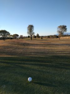 アラサー男子の休日ゴルフ。2017年妻沼ゴルフ場にて。佐之吉のゴルフのスコア必見!