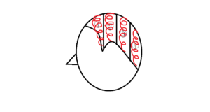 育毛と発毛より大事、抜け毛予防編!抜け毛予防シャンプーを学んでハゲ対策!アラサー男子の薄毛対策。